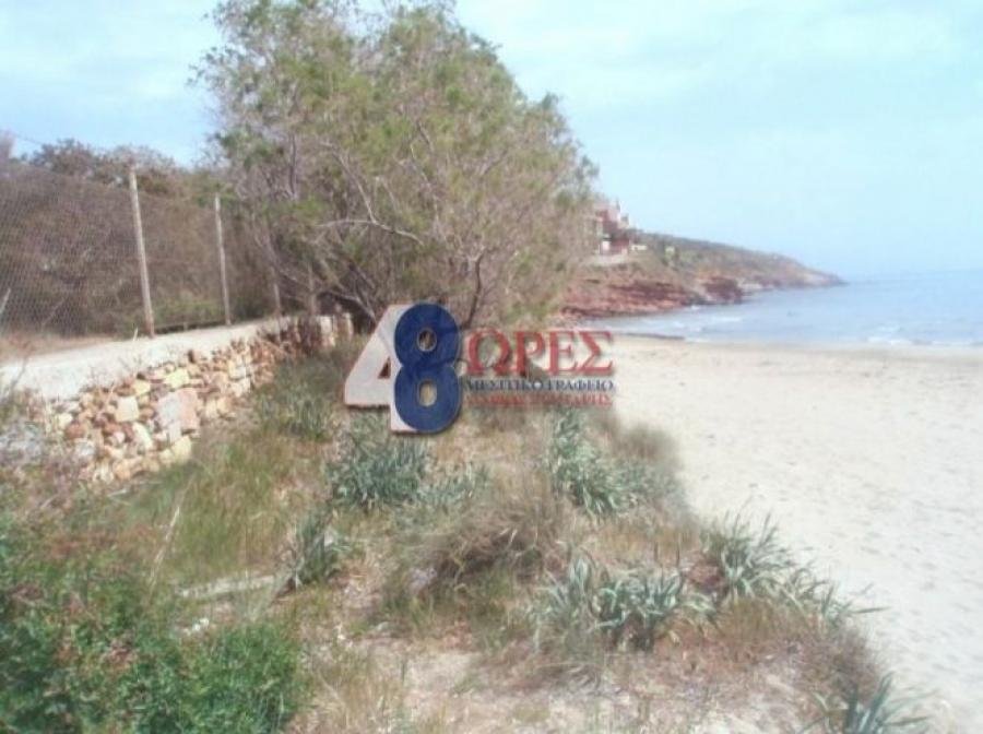 Land in Chios, Aegean, Greece 1 - 15635526