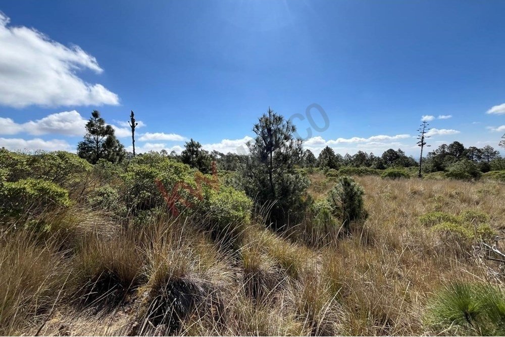 Land in Xaltitla, Tlaxcala, Mexico 2 - 15632218