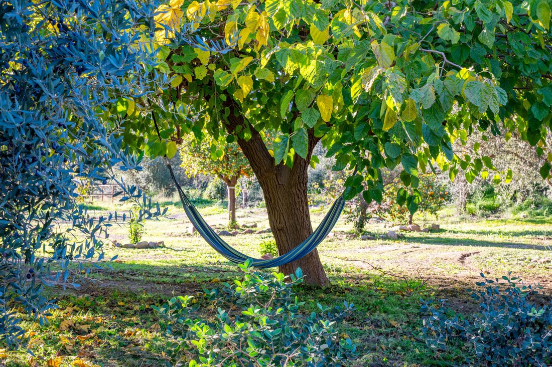 Finca in Almogia, Andalusia, Spain 3 - 15042068