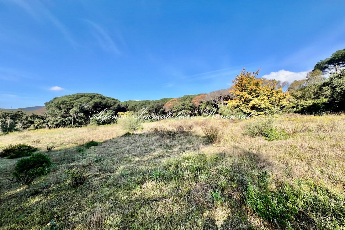 Land in Ville-Les Saquedes-Le Bouillonnet, Sainte-Maxime, France 5 - 15637924