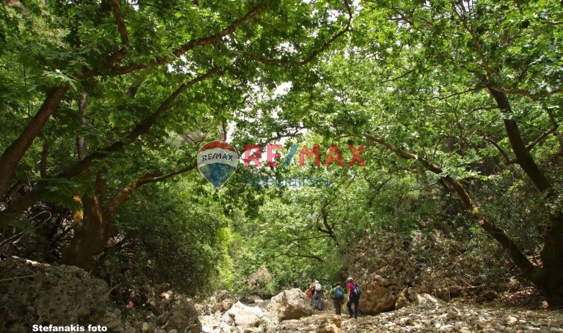 Land in Sfakia, Greece 4 - 15624365