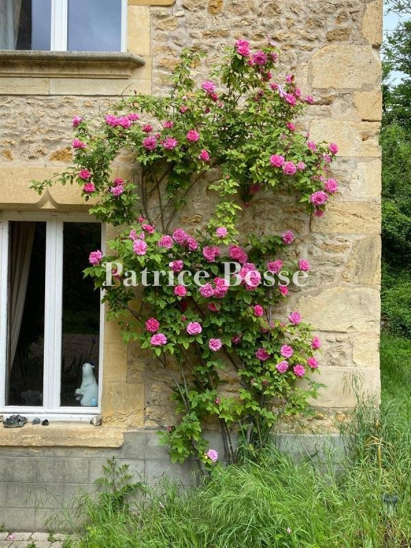 Whispers of Burgundy: An 18th-Century Manor by the River’s Song