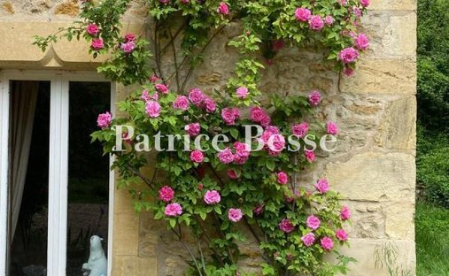 Castle for Sale in Nevers, Bourgogne-Franche-Comté, France