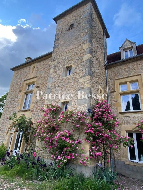 Whispers of Burgundy: An 18th-Century Manor by the River’s Song