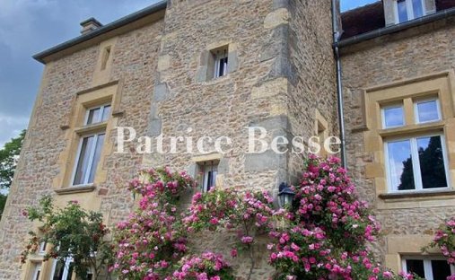 Castle for Sale in Nevers, Bourgogne-Franche-Comté, France