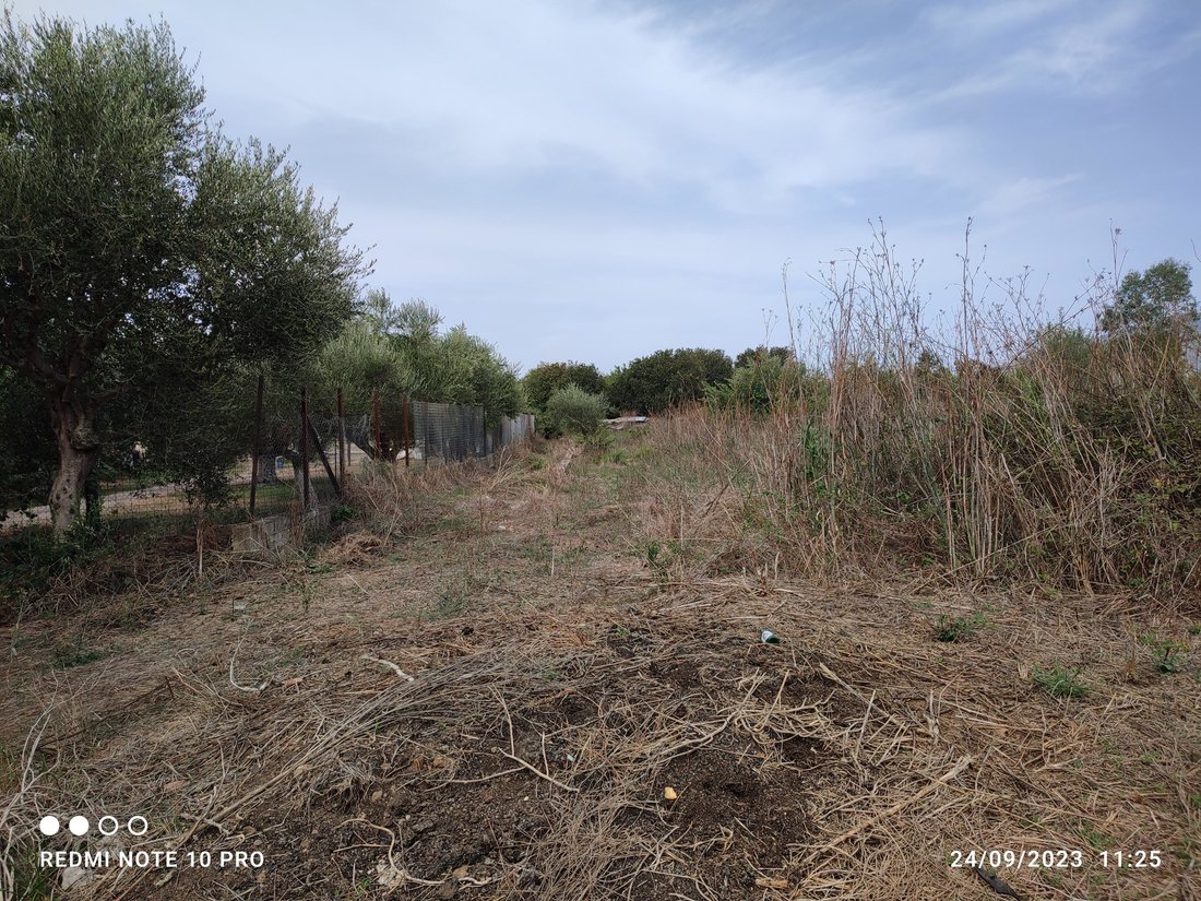 Land in Kalamata, Peloponnese, Western Greece and the Ionian, Greece 2 - 15638776