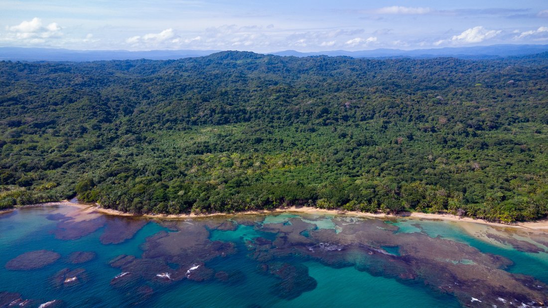 Land in Colón, Colón Province, Panama 3 - 15639711
