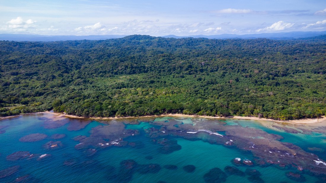 Land in Colón, Colón Province, Panama 2 - 15639711