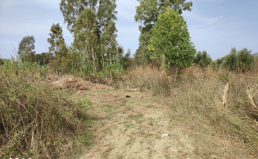 Terreno in Calamata, Peloponnese, Western Greece and the Ionian, Grecia 1