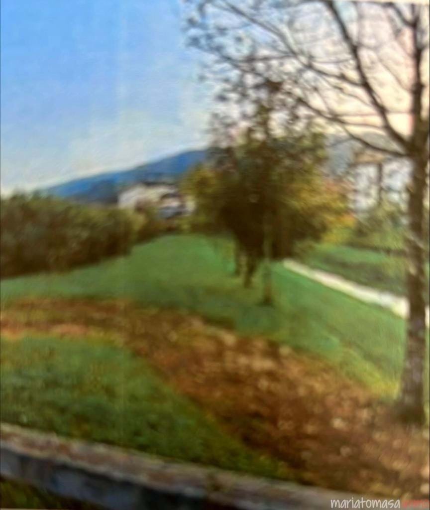 Land in Valle de Trapaga-Trapagaran, Basque Country, Spain 4 - 15640428