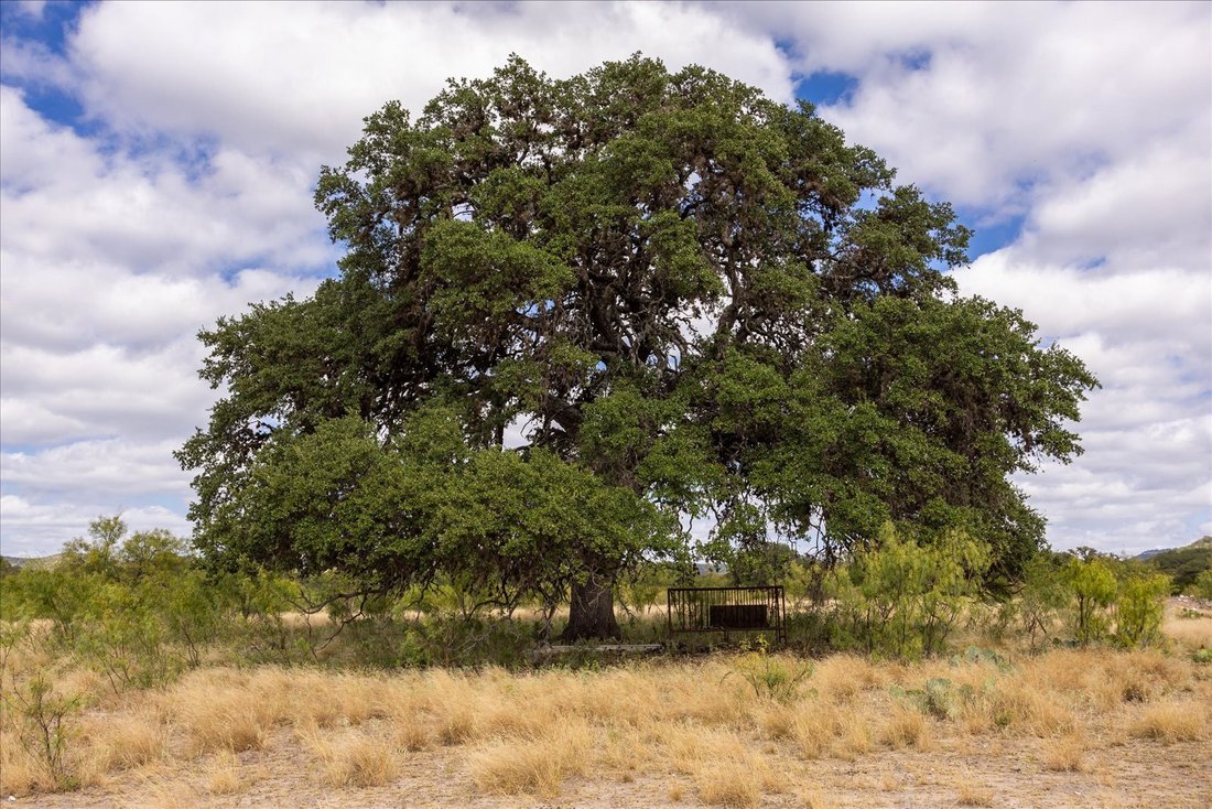 Farm Ranch in Camp Wood, Texas, United States 4 - 15639960