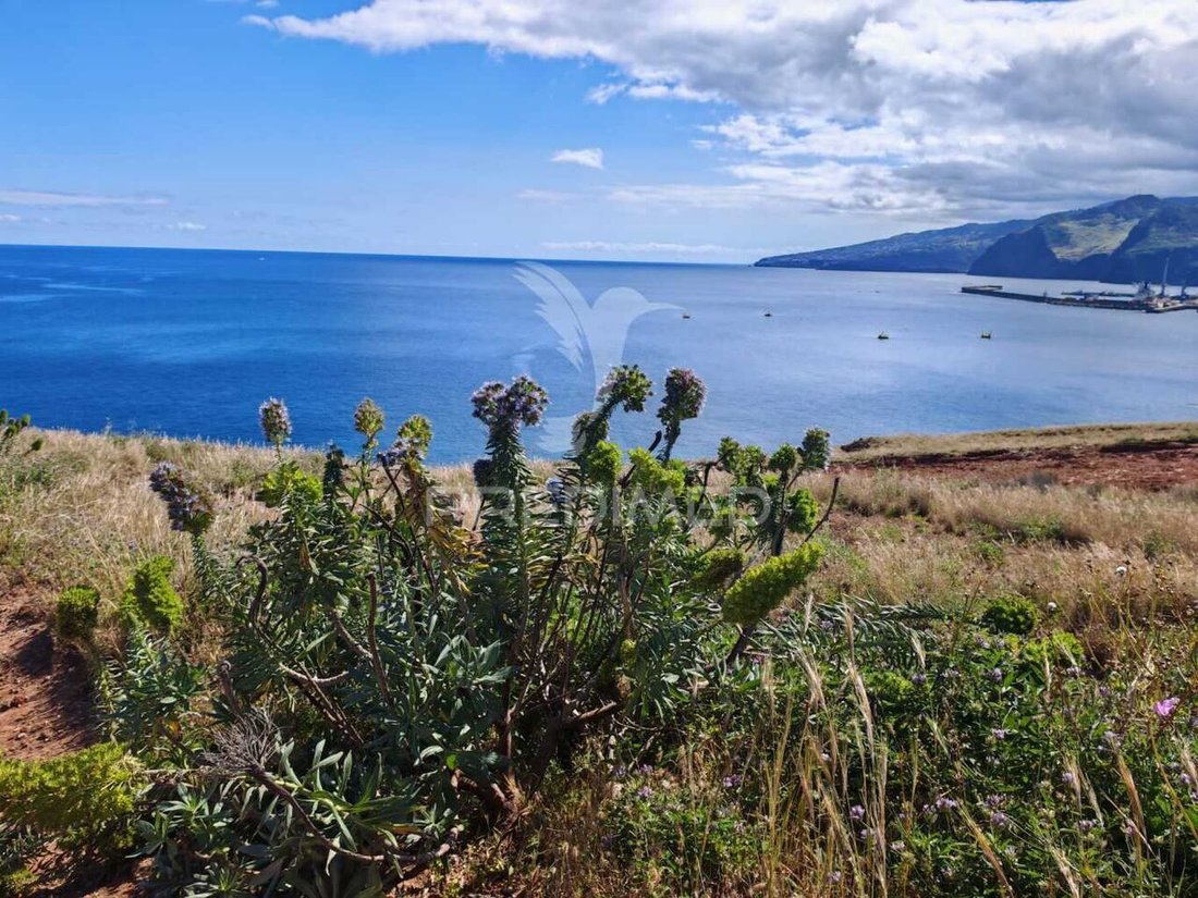 Land in Estreito da Calheta, Autonome Region Madeira, Portugal 1 - 15623045