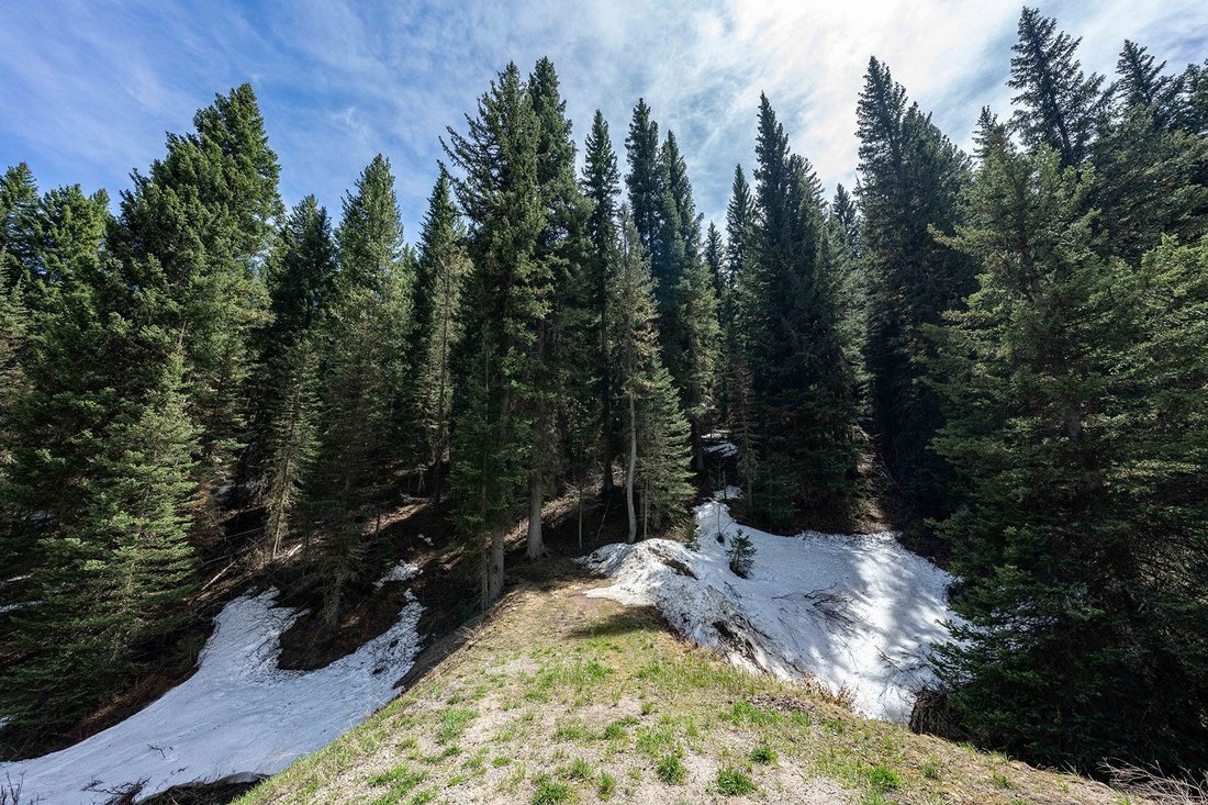 Land in Wilson, Wyoming, United States 5 - 15642252
