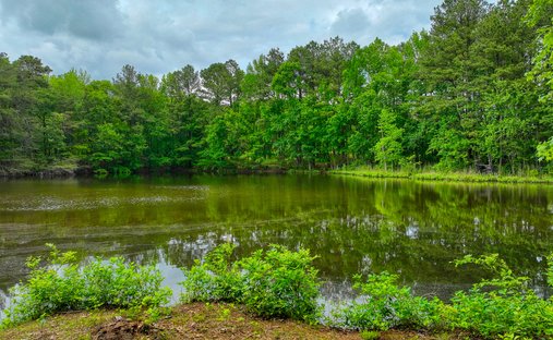 Terrain à Seaford, Delaware, États-Unis 1