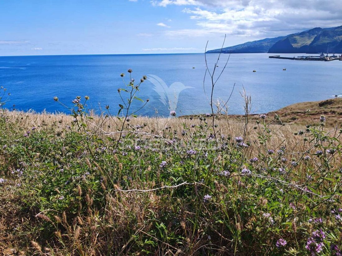 Land in Estreito da Calheta, Autonome Region Madeira, Portugal 4 - 15623045
