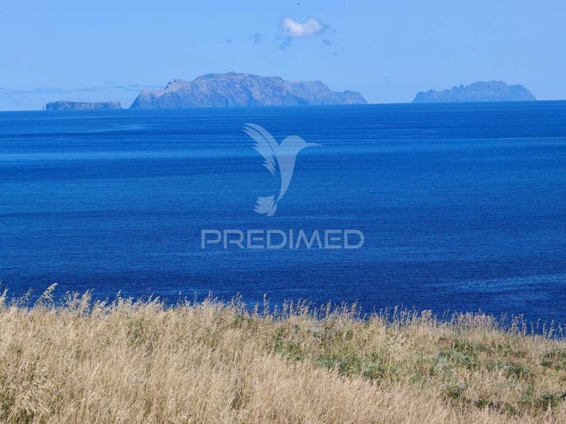 Land in Madeira Island, Madeira, Portugal 2 - 15623045