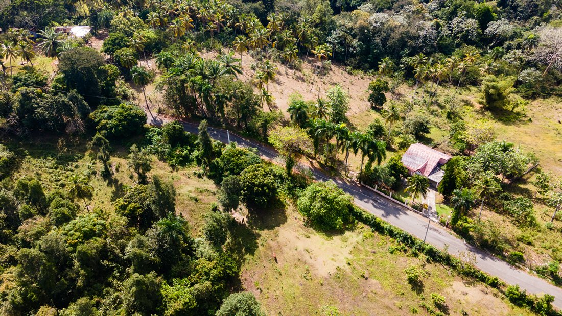 Terrain à Pedro Brand, Santo Domingo, République dominicaine 5 - 15650036