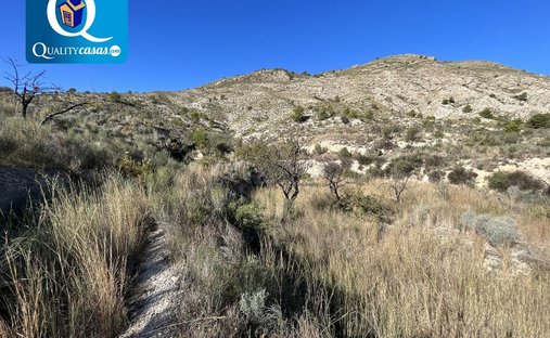 Terreno a Orxeta, Comunità Valenzana, Spagna 1