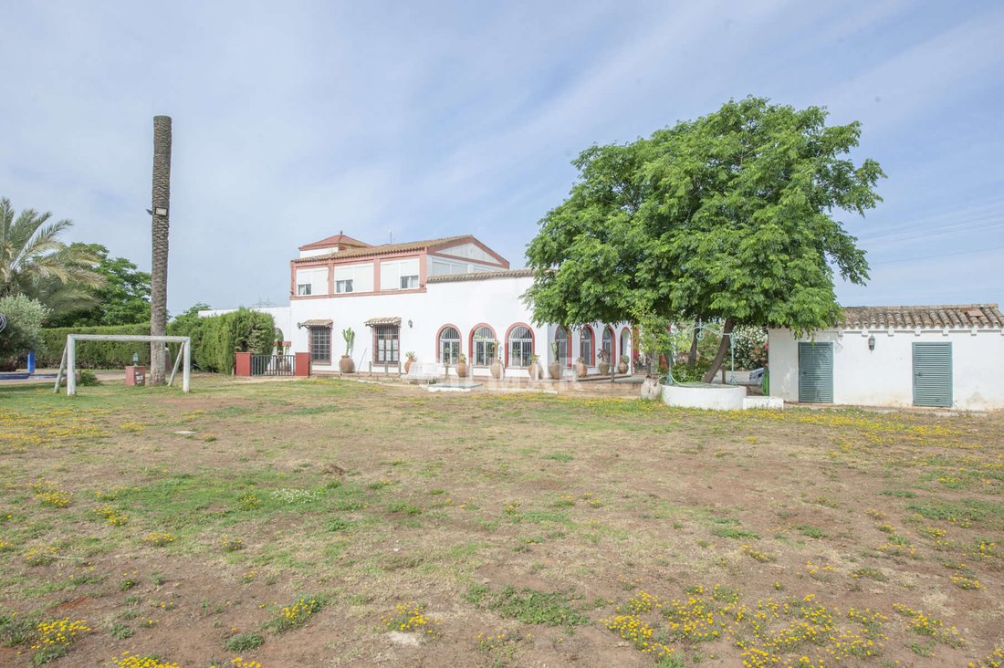 Villa in Alcala de Guadaira, Andalusia, Spain 3 - 15643738