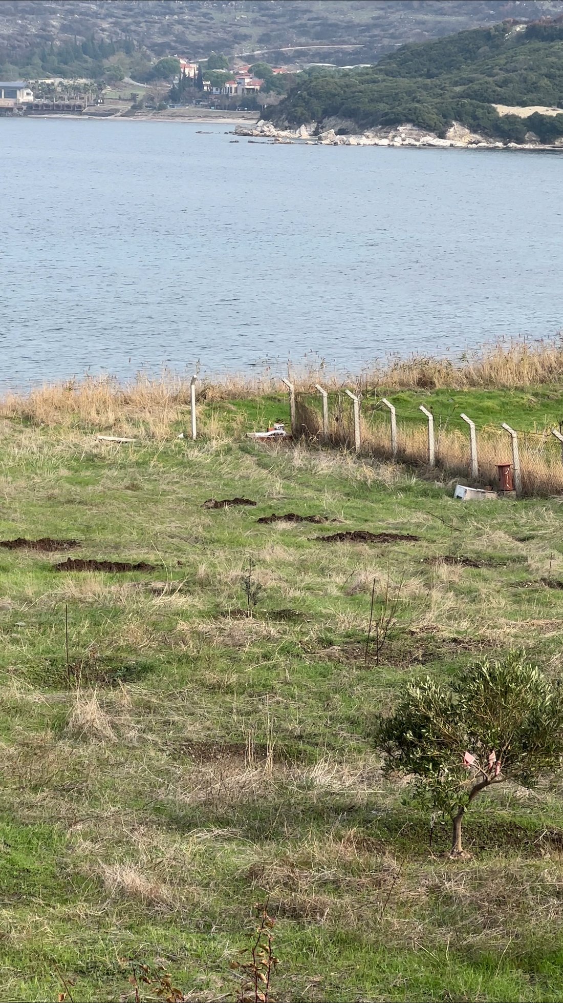 Land in Aliağa, İzmir, Turkey 2 - 15650814