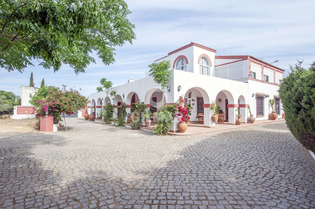 Villa in Alcala de Guadaira, Andalusia, Spain 1 - 15643738