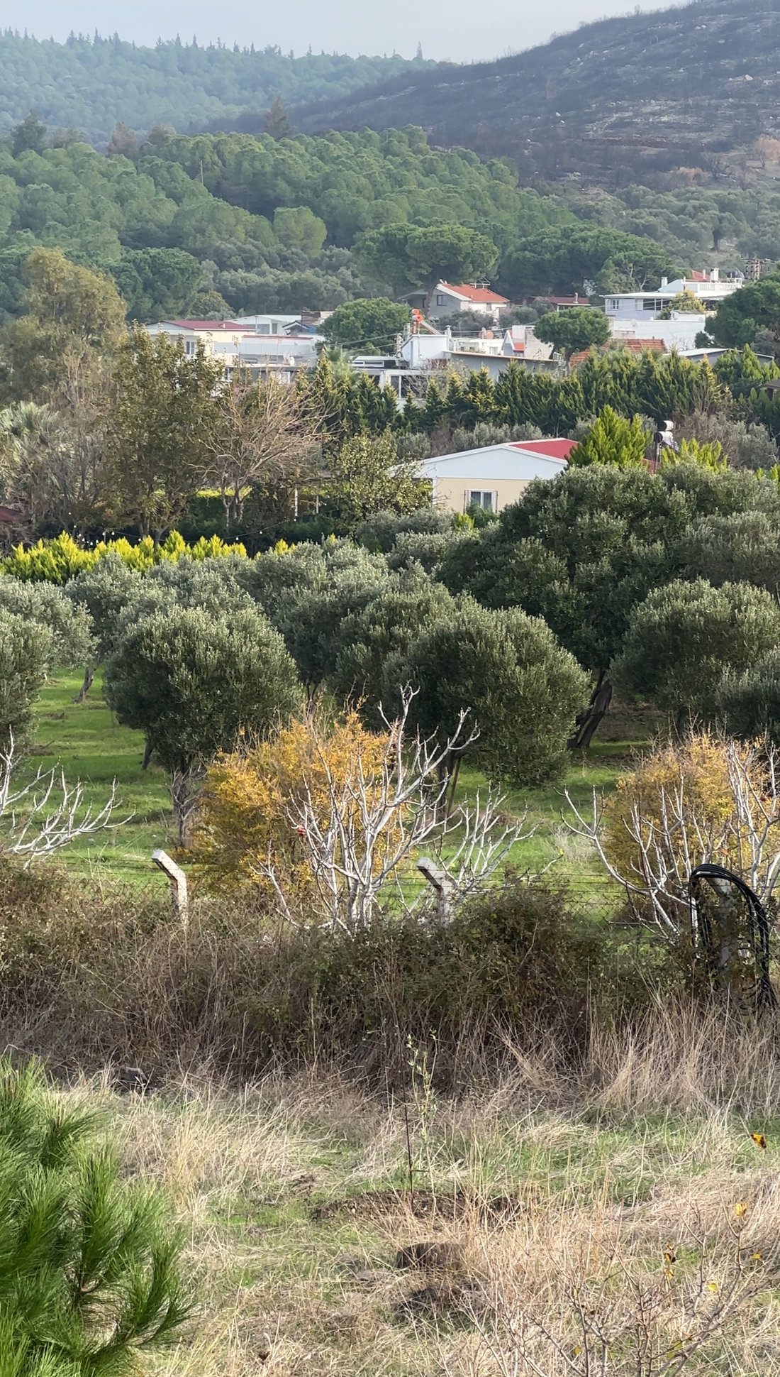 Land in Aliağa, İzmir, Turkey 3 - 15650814