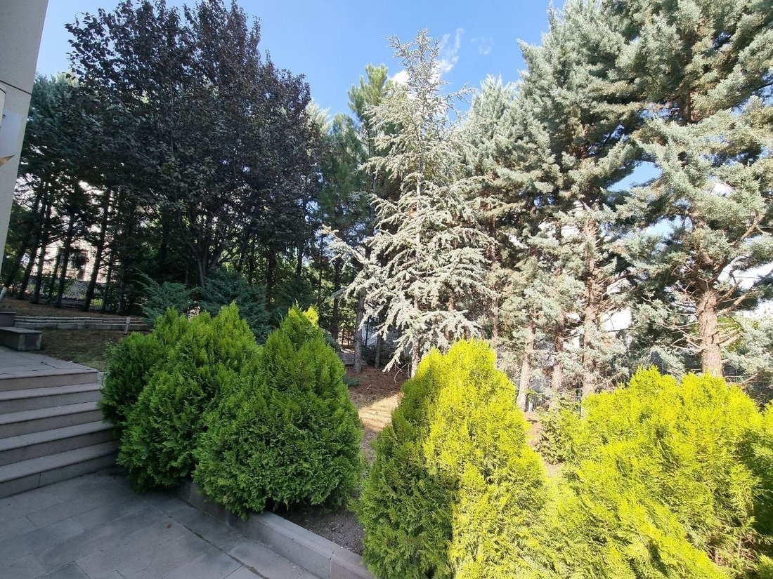 House in Ankara, Ankara, Turkey 5 - 15650781
