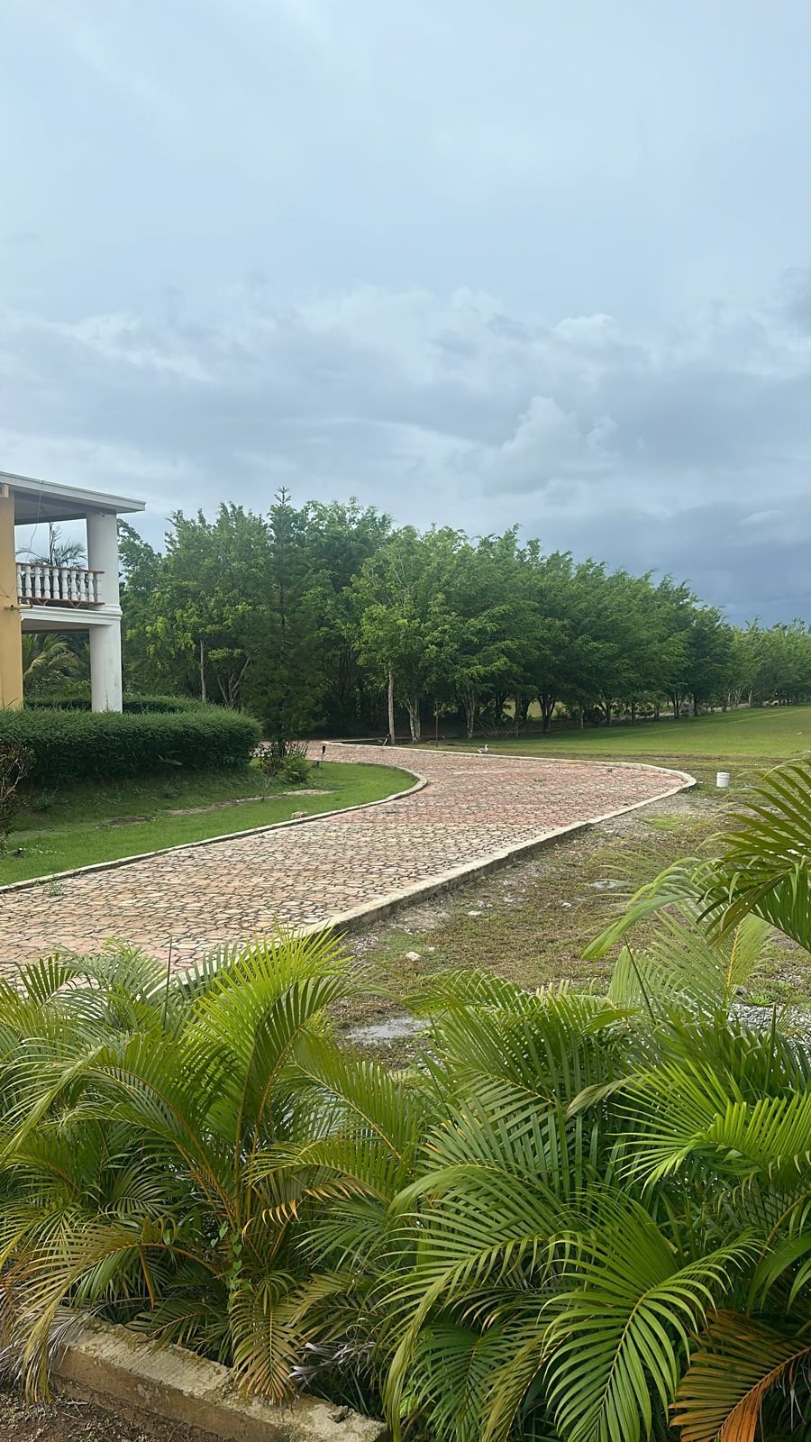 Bayaguana, Monte Plata Province, Dominican Republic 2 - 15649905