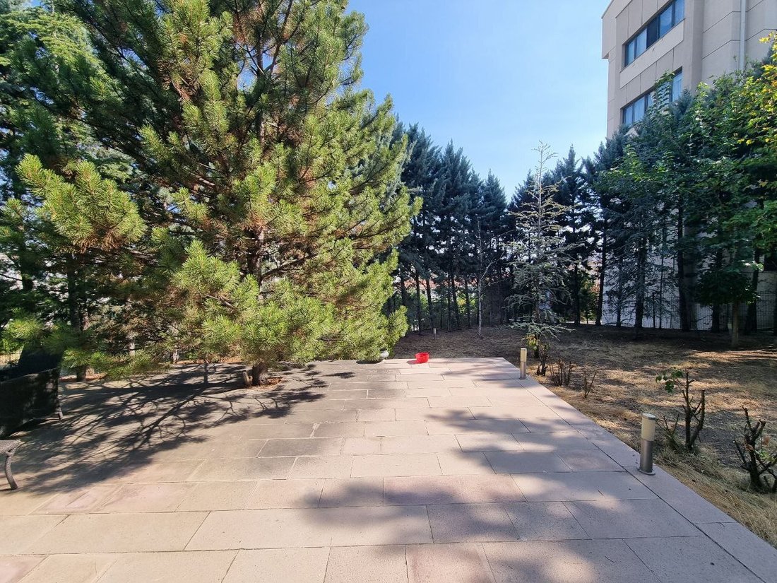 House in Ankara, Ankara, Turkey 4 - 15650781