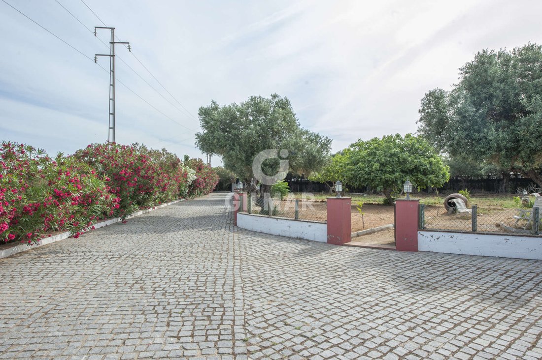 Villa in Alcala de Guadaira, Andalusia, Spain 4 - 15643738