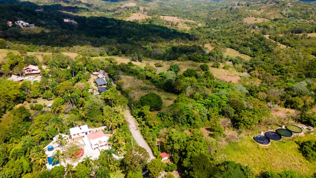 Terrain à Pedro Brand, Santo Domingo, République dominicaine 1 - 15650036