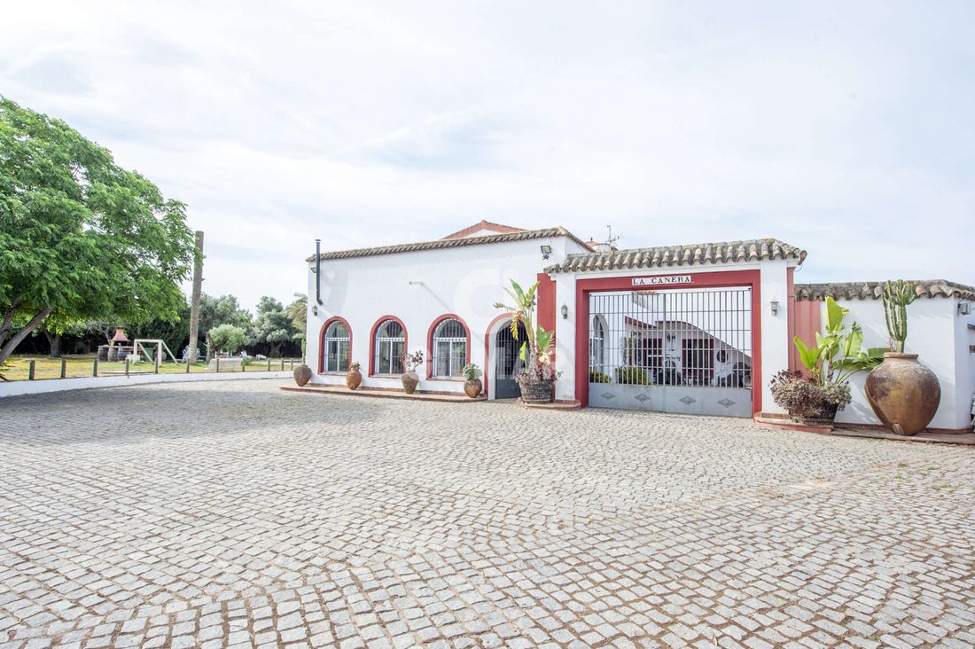 Villa in Alcala de Guadaira, Andalusia, Spain 5 - 15643738