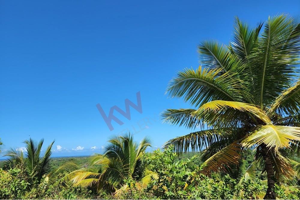 Terrain à Punta Cana, La Altagracia, République dominicaine 2 - 15650147
