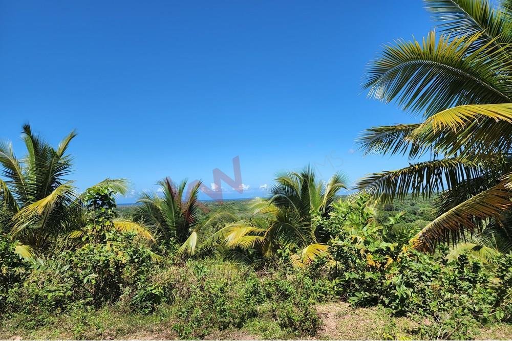 Terrain à Punta Cana, La Altagracia, République dominicaine 1 - 15650147