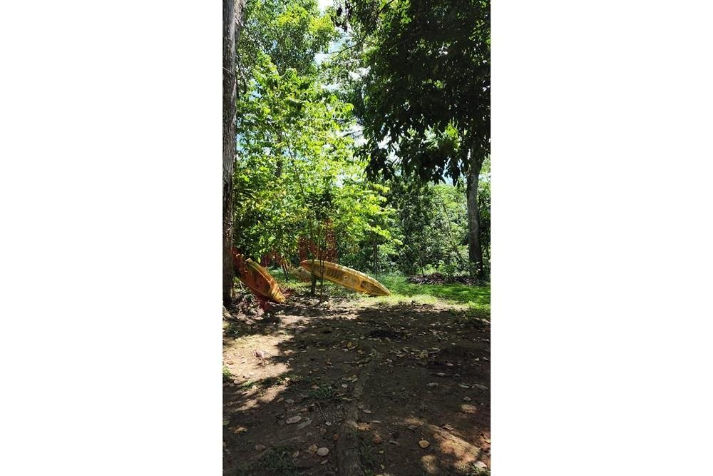 Terrain à Punta Cana, La Altagracia, République dominicaine 3 - 15650147