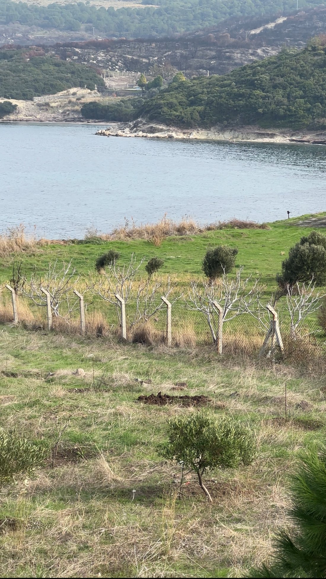 Land in Aliağa, İzmir, Turkey 1 - 15650814