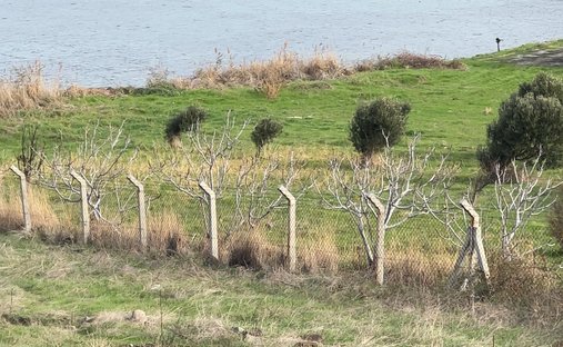 Land in Aliağa, İzmir, Turkey 1