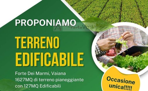 Land in Caranna-Vaiana, Forte dei Marmi, Tuscany 1