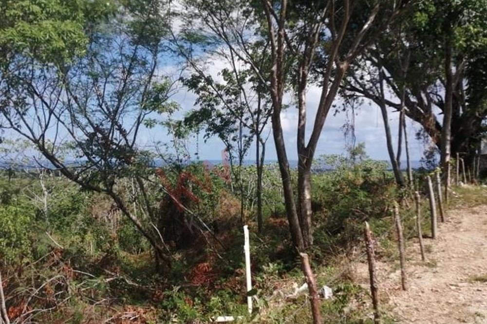 Terrain à Sosúa, Puerto Plata, République dominicaine 3 - 15649972