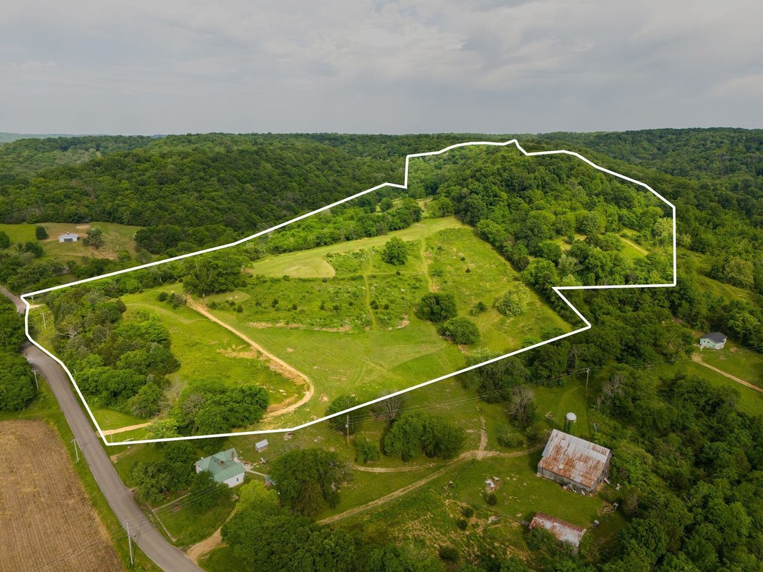 Farm Ranch in Hampshire, Tennessee, United States 3 - 15649608