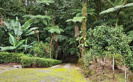 Land in Xicotepec de Juárez, Puebla, Mexico 1