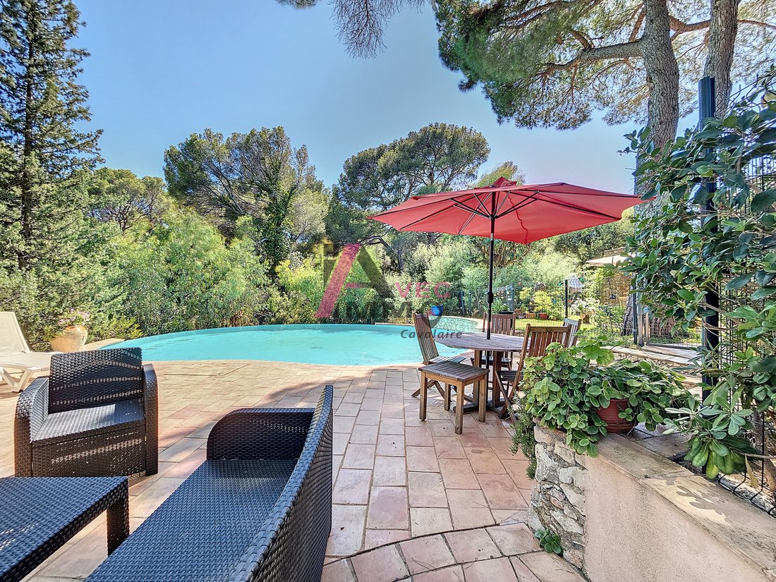 Whispers of Provence: A Sunlit Haven Between Sea & Stone
