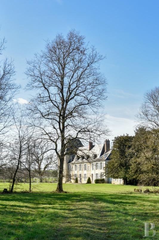 Château de Rêves: A Loire Valley Masterpiece Reborn in 30 Hectares of Whispering Woods