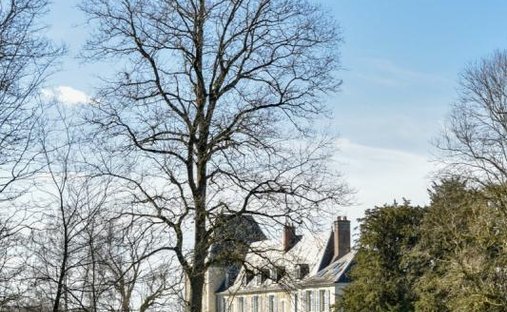 Chateau With Its Lodges For Sale On A Part Wooded 71 Acre Estate With Lake In South Touraine.