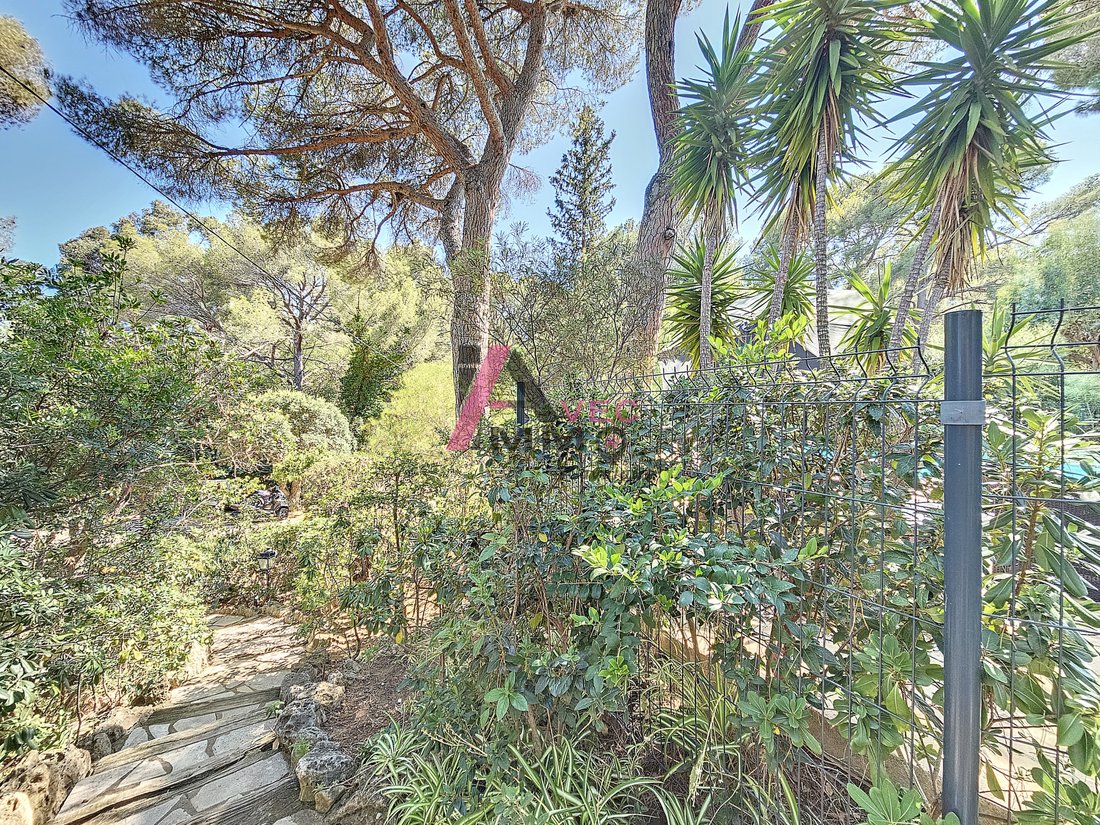 Whispers of Provence: A Sunlit Haven Between Sea & Stone