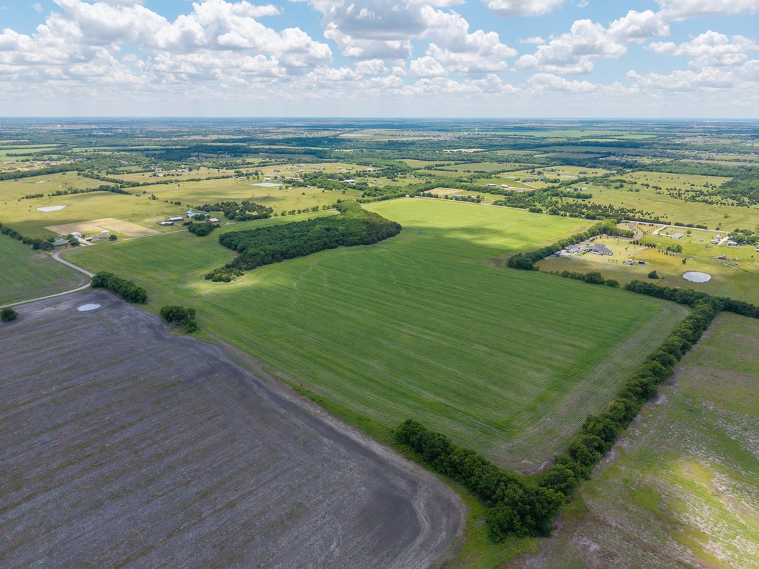 Land in Celeste, Texas, United States 4 - 15643482