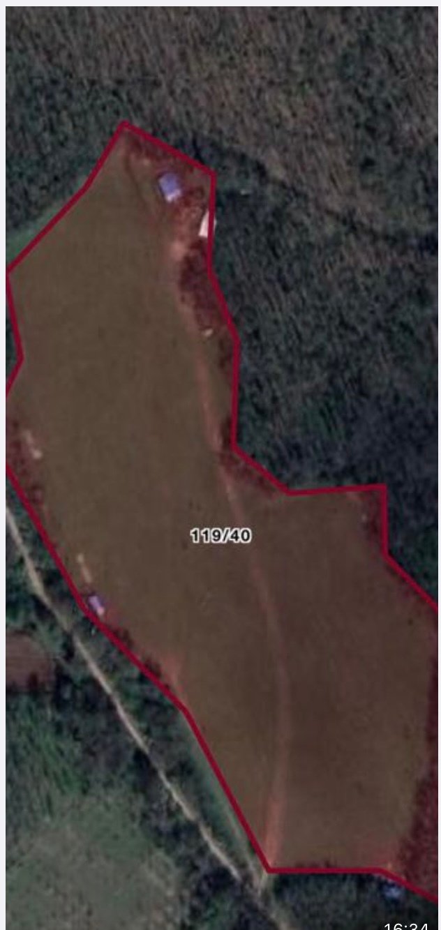 House in İğneada, Kırklareli, Turkey 4 - 15650216