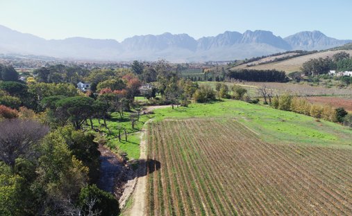 Farm Ranch in Cape Town, Western Cape, South Africa 1