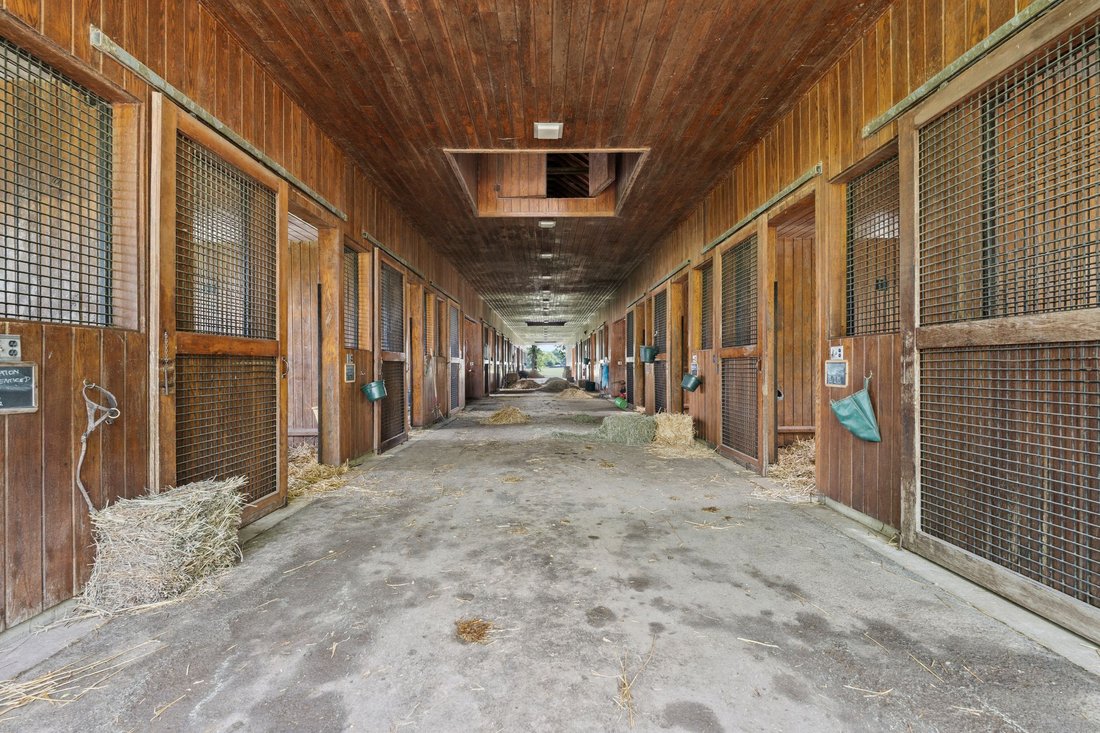 Farm Ranch in Lexington, Kentucky, United States 4 - 11739042