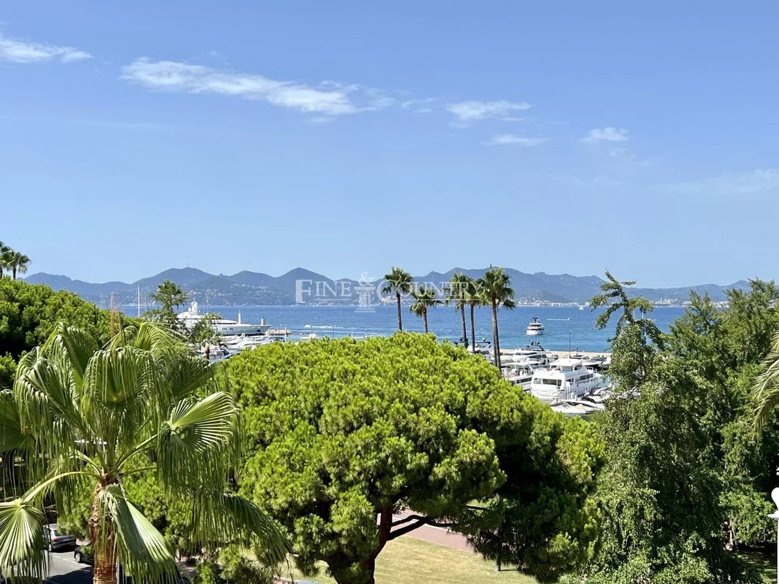 Apartment in Cannes, Provence-Alpes-Côte d'Azur, France 1 - 13146977